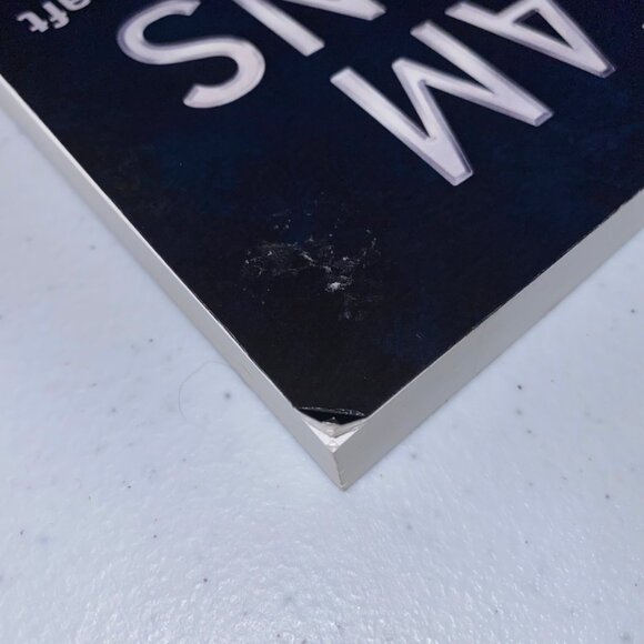 "Dream Missions" By Michel Van Pelt Paperback Used - Picture 6 of 14